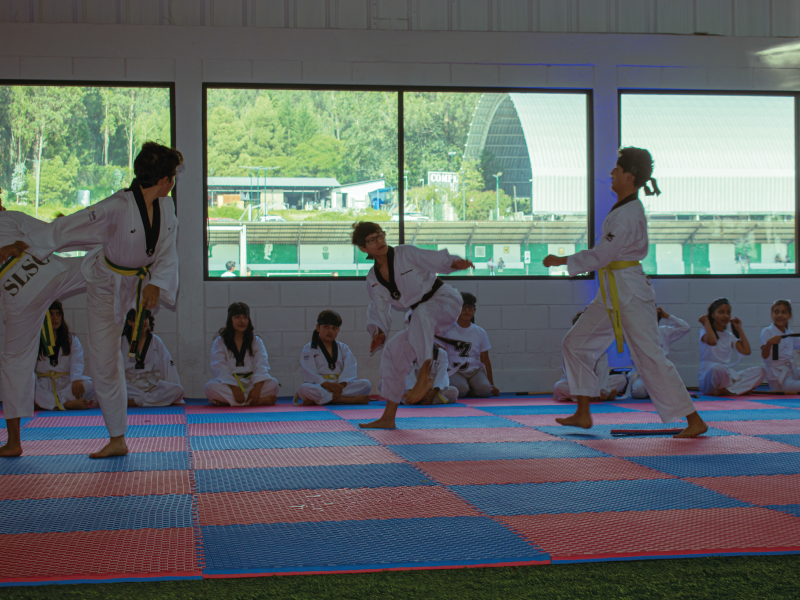Teakwondo